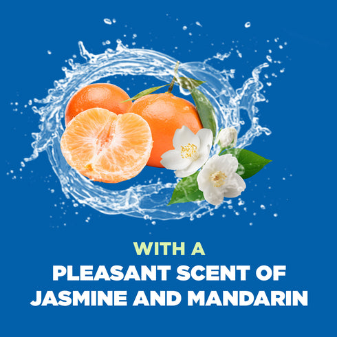 Ecover Oven & Hob Cleaner 500ml